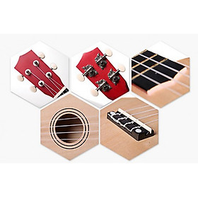 Mua Ukulele Soprano Màu Trơn KBD 33A15-Go - Mặt Gỗ