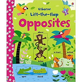 Hình ảnh Review sách Sách tương tác tiếng Anh - Usborne Lift-the-Flap Opposites