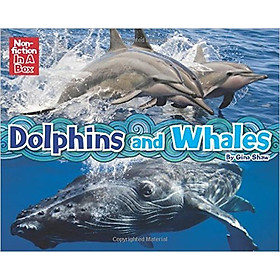 Whales and Dolphins