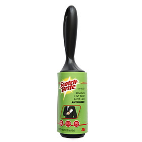 Cây Lăn Bụi Scotch-Brite