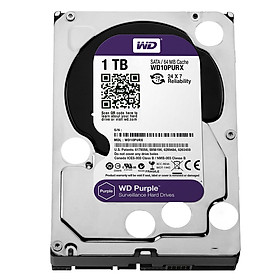 Mua Ổ Cứng Camera WD Purple 1TB/64MB/3.5 IntelliPower WD10PURZ/WD10PURX - Hàng Chính Hãng