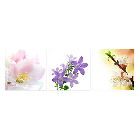 Mua Tranh treo tường CÁT TƯỜNG NHƯ Ý XUÂN (HH00167 - 40V) Thế Giới Tranh Đẹp