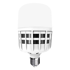 Đèn LED Bulb Công Suất Lớn Điện Quang ĐQ LEDBU09 20765 (20W Daylight, Nguồn Tích Hợp)