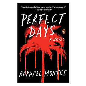 Download sách Perfect Days (A Novel)