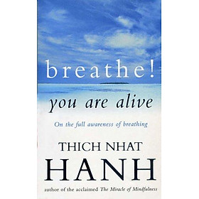 Breathe! You Are Alive: Sutra On The Full Awareness Of Breathing