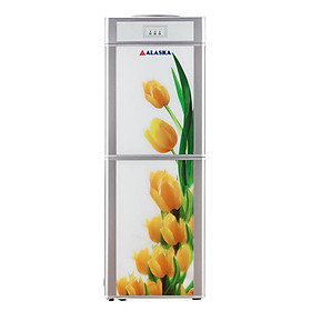 Cây nước nóng lạnh Alaska R90C