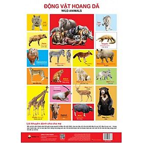 Nơi bán Poster - Động Vật Hoang Dã - Giá Từ -1đ