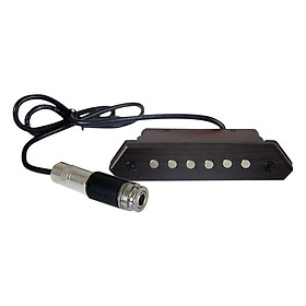 Bộ Thu Âm Acoustic Guitar Pickup Skysonic A-810