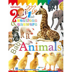 Download sách My First Questions & Answers - Baby Animals