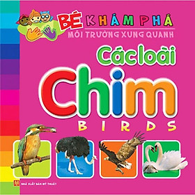 Hình ảnh Bé Khám Phá Môi Trường Xung Quanh - Các Loài Chim