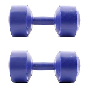 Bộ 2 Tạ Tập Tay VN 8kg Sportslink - Xanh