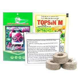 Bộ Hạt Giống Cà Chua Thân Gỗ Hoa Đẹp Dễ Trồng