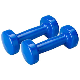 Combo 2 Tạ Nhập Khẩu TNK (1kg / Tạ)