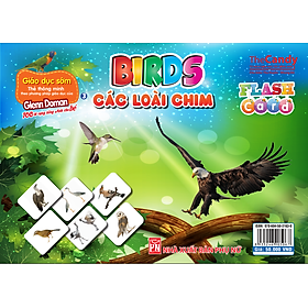 Nơi bán Flashcard Dạy Trẻ Theo Phương Pháp Glenn Doman - Các Loài Chim - Giá Từ -1đ