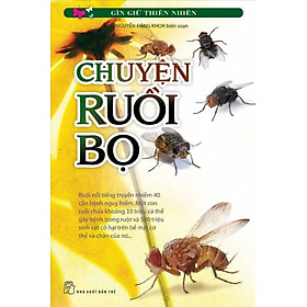 Bộ Sách Giữ Gìn Thiên Nhiên - Chuyện Ruồi Bọ