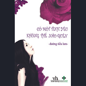 Có Một Tình Yêu Không Thể Nào Quên