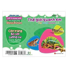 Thẻ Flashcard Theo Phương Pháp Glenn Doman - Thế Giới Quanh Em: Côn Trùng - Bò Sát - Lưỡng Cư