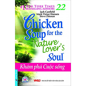 Download sách Chicken Soup For The Soul 22 - Khám Phá Cuộc Sống (Tái Bản 2016)