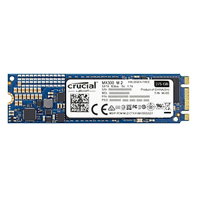 Ổ Cứng SSD M.2 Crucial MX300 275GB - Hàng Chính Hãng