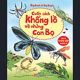 Download sách Big Book Of Big Bugs – Cuốn Sách Khổng Lồ Về Những Con Bọ