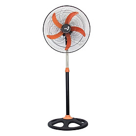Quạt Đứng Asia Vina D20002 - Hàng chính hãng