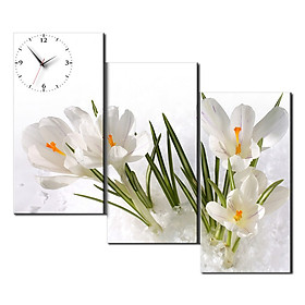 Tranh Đồng Hồ Hoa Diên Vĩ Trắng Vicdecor - DHT0287 - 30x60cm