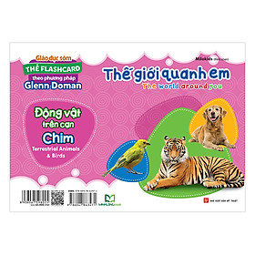 Thẻ Flashcard Theo Phương Pháp Glenn Doman - Thế Giới Quanh Em: Động Vật Trên Cạn - Chim