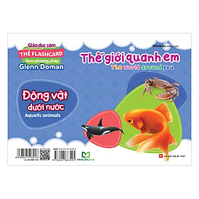 Nơi bán Thẻ Flashcard Theo Phương Pháp Glenn Doman - Thế Giới Quanh Em: Động Vật Dưới Nước - Giá Từ -1đ