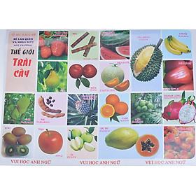 Tranh Thế Giới Trái Cây (Song Ngữ Anh - Việt)