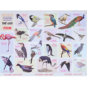 Tranh Thế Giới Chim (Vui Học Anh Ngữ)