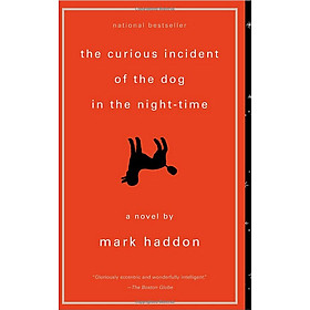The Curious Incident of the Dog in the Night-Time