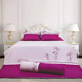 Chăn ga gối Sông Hồng Home Collection H15 029 ga chun