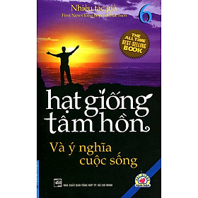 Sách Hạt Giống Tâm Hồn 6 - Ý Nghĩa Cuộc Sống