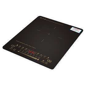 Bếp điện từ Osaka IC 204TC