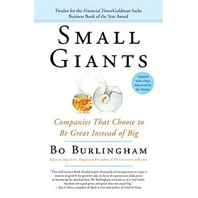 Small Giants: Companies That Choose to Be Great Instead of Big - Tân Việt