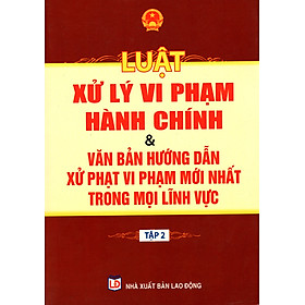 Download sách Luật Xử Lý Vi Phạm Hành Chính & Văn Bản Hướng Dẫn Xử Phạt Vi Phạm Mới Nhất Trong Mọi Lĩnh Vực (Tập 2)