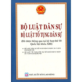Bộ Luật Dân Sự, Bộ Luật Tố Tụng Dân Sự