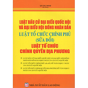 Download sách Luật Bầu Cử Đại Biểu Quốc Hội Và Đại Biểu Hội Đồng Nhân Dân