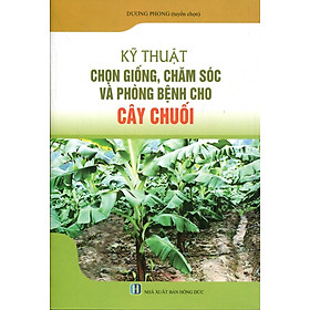 Kỹ Thuật Chọn Giống, Trồng Chăm Sóc Và Phòng Bệnh Cho Cây Chuối