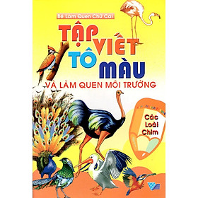 Tập Viết, Tô Màu Và Làm Quen Môi Trường Các Loài Chim