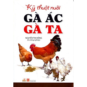 Kỹ Thuật Nuôi Gà Ác, Gà Ta