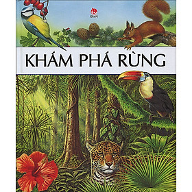 Hình ảnh Khám Phá Rừng