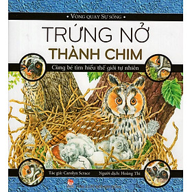 Nơi bán Trứng Nở Thành Chim - Giá Từ -1đ