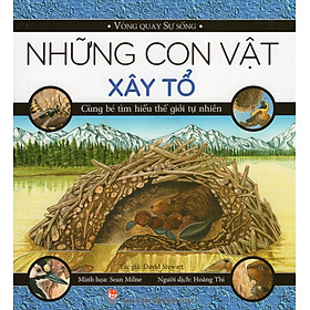 Những Con Vật Xây Tổ