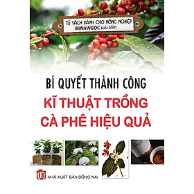 Bí Quyết Thành Công Kĩ Thuật Trồng Cà Phê Hiệu Quả