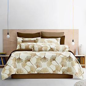 Bộ Drap 5 Món Cao Cấp Lotus Aura LA-21
