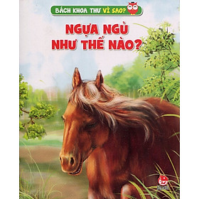 Download sách Ngựa Ngủ Như Thế Nào