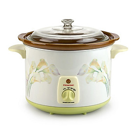 Nồi Tiềm Pensonic PSC-382