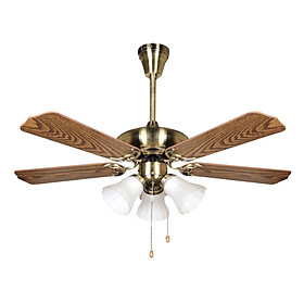 Mua Quạt Trần Đèn Netviet NQ 50906B