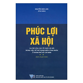 Phúc Lợi Xã Hội - Vai Trò Của Các Tổ Chức Xã Hội Trong Việc Hỗ Trợ Thanh Niên Công Nhân Ở Thành Phố Hồ Chí Minh